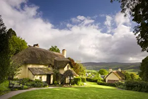 Thatched Cottages Prints: Thatched cottages in the picturesque village of Selworthy, Exmoor National Park, Somerset