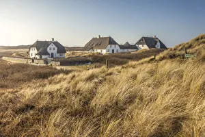 Schleswig Holstein Prints: Thatched courtyards Kliffende north of Kampen, Sylt, Schleswig-Holstein, Germany