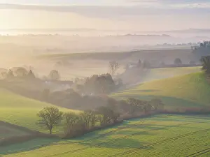 March Prints: Thatched farmhouse (Great Gutton Farm) in rolling mid Devon countryside at dawn on a misty morning