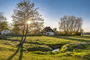 Sabine Lubenow Prints: Thatched house at sunset, Vitte, Hiddensee island, Mecklenburg-Western Pomerania, Germany