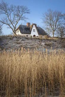 Dike Prints: Thatched-roof house on the Wadden side of Keitum, Sylt, Schleswig-Holstein, Germany