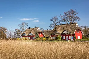 Prerow Prints: Thatched roof houses on the Bodden near Prerow