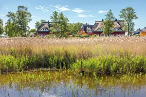 Thatched roof houses at the port of Prerow, Mecklenburg-Western Pomerania, Baltic Sea, Northern Germany, Germany