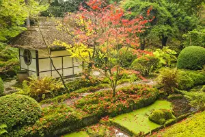 Thatched Tea House, Tatton Park, Cheshire, England