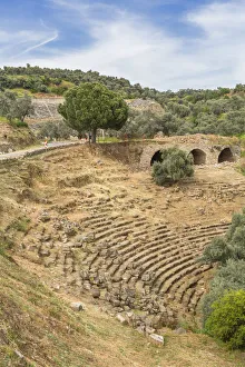 Theatre, ruins of ancient Nysa on the Maeander, Aydin Province, Turkey