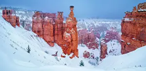 South Western Prints: Thors Hammer, Sunset Point Bryce Canyon National Park, Utah, USA
