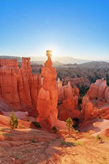 Images Dated 21st September 2023: Thor's Hammer taken from Navajo Loop Trail at sunrise, Bryce Canyon National Park, Utah, USA