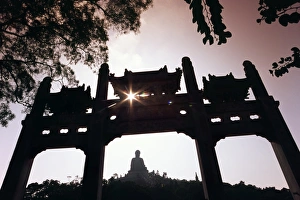 V Iew Collection: The Tian Tan Buddha