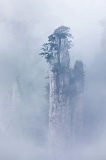 Images Dated 17th October 2019: Tianzi mountain in the mist at sunrise, Zhangjiajie national forest park, Hunan, China