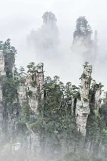 Tianzi mountain in the mist at sunrise, Zhangjiajie national forest park, Hunan, China