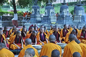 Tibet Gallery: Tibetan monks in Bodhgaya, praying under the sacred Buddha banyan tree