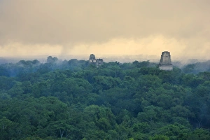 Tikal Pyramid ruins (UNESCO site) and rainforest
