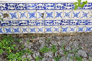 Images Dated 26th November 2013: Tiles of an old house near Cinfaes do Douro. Douro region, Portugal