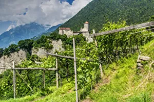 Sud Tirolo Collection: Tirol Castle or Castel Tirolo, Tirolo - Tirol, Trentino Alto Adige - South Tyrol, Italy