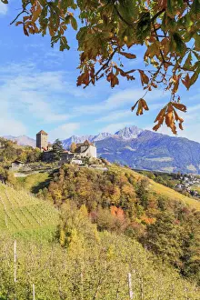 Venosta Valley Prints: Tirolo Castle between autumn colors with Sarentine Alps in the background, Merano