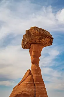 Toadstools Prints: Toadstool hoodoo in Grand Staircase-Escalante National Monument, Utah, USA