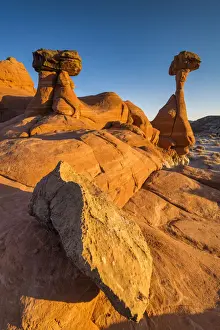 Form Prints: The Toadstools, Paria Rimrocks, Grand Staircase Escalante National Monument, Utah, USA