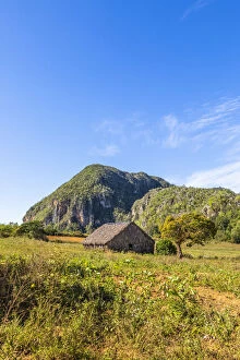 Images Dated 29th May 2020: A tobacco barn in Vinales Valley, Pinar del Rio Province, Cuba