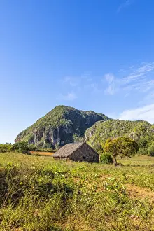 Vinales Prints: A tobacco barn in Vinales Valley, Pinar del Rio Province, Cuba