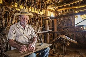 Images Dated 29th May 2020: A tobacco farmer making a Cuban cigar in Vinales, Pinar del Rio Province, Cuba