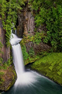Temperate Rain Forest Prints: Toketee Falls, Douglas County, Oregon, USA