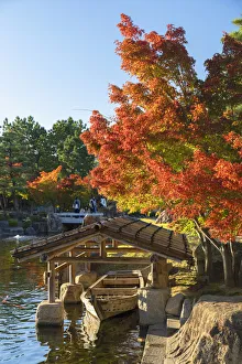 Chubu Prints: Tokugawa Garden, Nagoya, Japan
