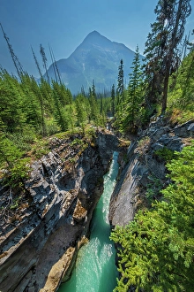 Pacific Coast Prints: Tokumm Creek cuts through the limetone rock of Marble Canyon