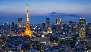 Images Dated 6th June 2017: Tokyo skyline and Tokyo Tower at night, Minato, Tokyo, Japan