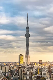 Tokyo Skytree at sunset, Sumida, Tokyo, Kanto region, Japan