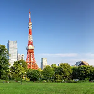 High Rise Prints: Tokyo Tower from Shiba Park, Tokyo, Japan