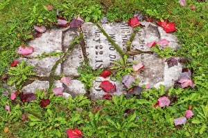 Cemetery Prints: Tomstones in cemetary, New Canaan, New Brunswick, Canada