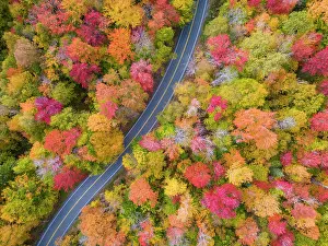 Fall Colors Prints: Top-down view of fall foliage at peak, Groton State Forest, Vermont, USA