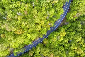 Q3 2025 Prints: Top-down view of spring foliage, Groton State Forest, Vermont, USA