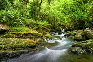 Mystical Prints: Torc brook in Killarney National Park
