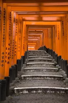 Kinki Region Gallery: Torii gates, Fushimi Inari Taisha Shrine, Kyoto, Honshu, Japan