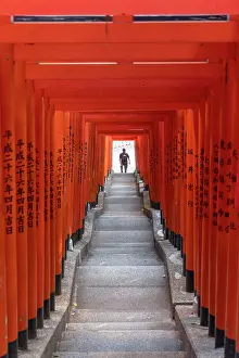 Religious Architecture Prints: Torii gates at Hie Shrine, Tokyo, Japan