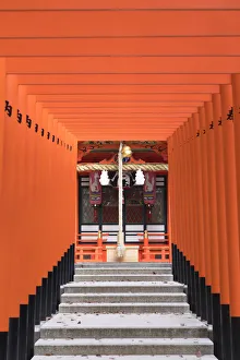 Images Dated 29th March 2018: Torii gates at Ichinomiya shrine, Kobe, Kansai, Japan