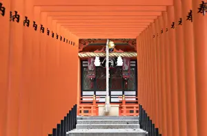 Kobe Prints: Torii gates at Ichinomiya shrine, Kobe, Kansai, Japan