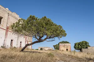 Province Of Lecce Prints: Torre San Giovanni, province of Lecce, Salento, Apulia, Italy