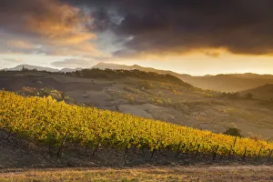 Tortona hills, Alessandria province, Piedmont, Italy, Europe