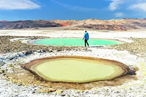 Salt Pond Prints: Tourist looking at lagoons, Ojos del Campo