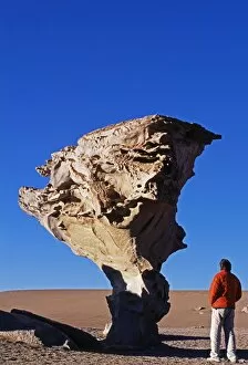 A tourist looks at the Arbol de Piedra or Stone Tree