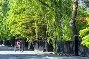 Akita Prints: Tourist in rickshaw on Samurai Residence Street, Kakunodate, Akita, Japan