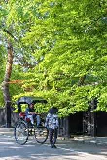 Akita Prints: Tourist in rickshaw on Samurai Residence Street, Kakunodate, Akita, Japan