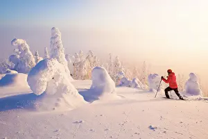 One Person Prints: Tourist snowshoeing in the surreal winter landscape of Finnish Lapland at sunrise