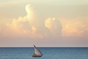 Nungwi Prints: Tourists on a dhow sunset cruise, Nungwi, Zanzibar, Tanzania