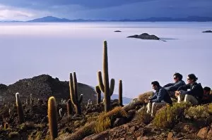 Salt Flat Collection: Tourists enjoy the view from the top of Isla de Pescado