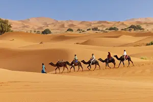 Berber Prints: Tourists riding camels through the Sahara Desert, Erg Chebbi, Merzouga, Morocco