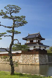 Tower and moat of Hiroshima castle, Hiroshima, Hiroshima Prefecture, Japan