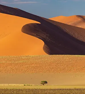 Sossusvlei Prints: Towering orange sand dune with distinctive snaking ridge